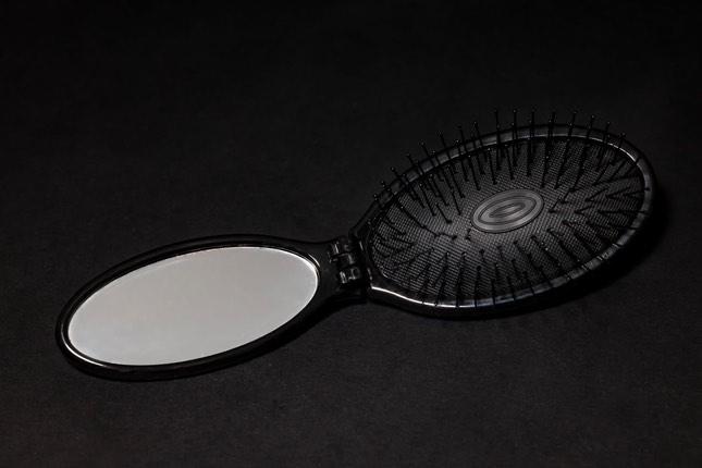 Purse Brush